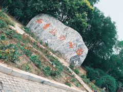 -西青郊野公园