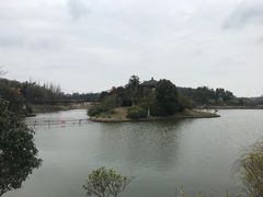 -宜兴龙背山森林公园