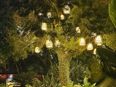 -厦门日月谷温泉渡假村