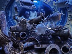 -成都浩海立方海洋公园