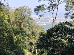 -黄埔油麻山森林公园