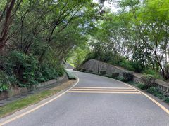 -小南山公园