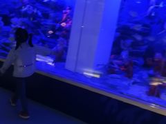 -成都泰迪熊博物馆