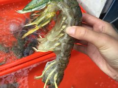 -拉威海鲜市场
