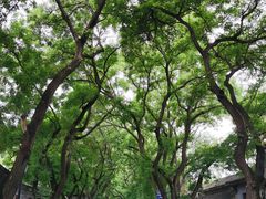-北京国子监胡同