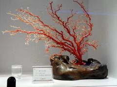 -绮丽珊瑚(台北101旗舰门市店)