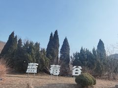 -金石滩蓝莓谷庄园