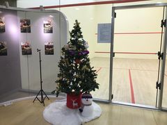 -健身专家Wellness Experts