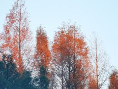 -山王坪喀斯特国家生态公园