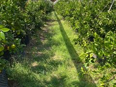 -前小桔亲子创意农场·草莓采摘·露营烧烤