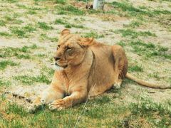 -北京野生动物园