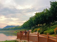 -风云岭森林公园