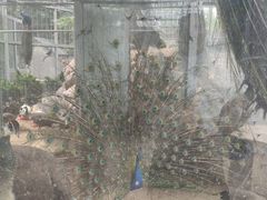 -水绘园