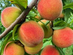 -天毓山庄·餐厅