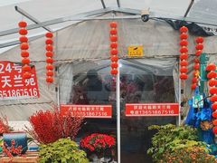 -龙大花卉苗木市场