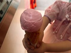 -成裕雪糕店(士多店)