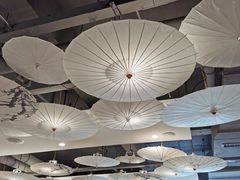 大堂-格桑花开药膳蔬食文化空间