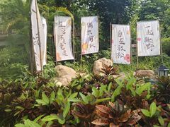 -美的鹭湖森林度假区