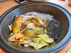 -鸽子刘铁锅炖鱼(劲松店)