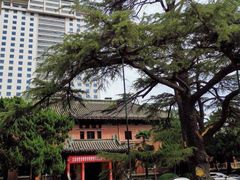 -南京钟山宾馆(江苏省会议中心)