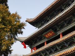 -迎泽公园