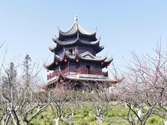 -上海海湾国家森林公园