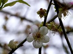-广州市流溪河国家森林公园