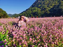 -广州市石门国家森林公园