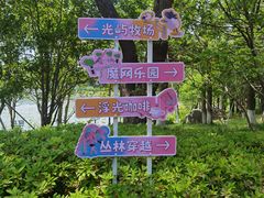-金鸡湖桃花岛