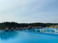 -北纬44度·金珠花海休闲农业旅游景区