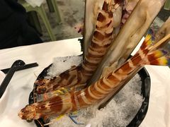 -鲜入围煮花胶鸡海鲜火锅