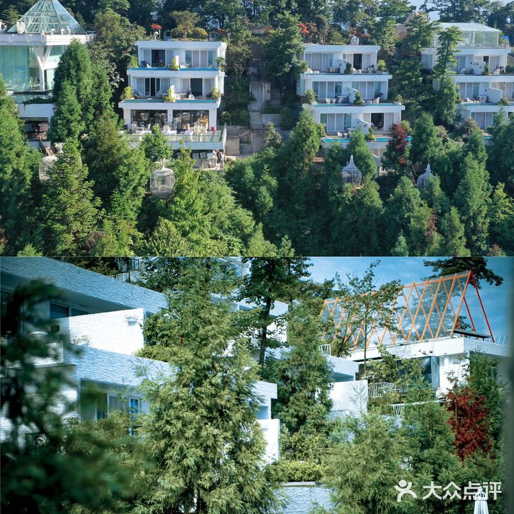 成都周边丨无边泳池360°云海☁️森林悬崖酒店