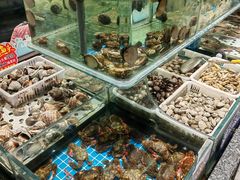 -渔码头食府·20年蓬莱老字号(登州路店)