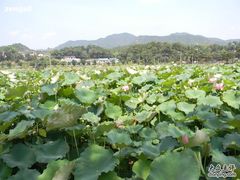 -韶山毛泽东同志故居