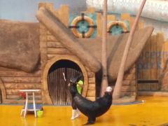 android_upload_pic-秦皇岛乐岛海洋王国