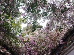 -深圳国际园林花卉博览园