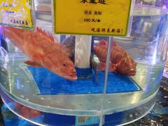 -新海渔港·胶东海鲜家常菜·家宴(奥体中心店)