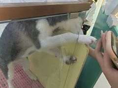 -龟与熊猫宠物公园(南坪店)