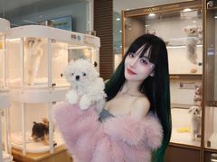 -翊宠yipet猫狗购宠庄园犬舍•猫舍