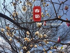 -东莞植物园