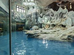 -帝企鹅自助餐厅•儿童岛•真企鹅(长隆企鹅酒店)