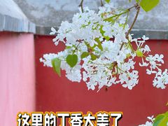 -八大处公园