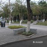 厦门鼓浪屿之旅
