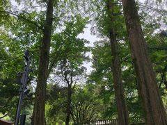 -莫干山风景区