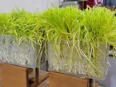 -尤素福东举院饺子馆