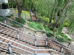 -大兴滨河森林公园