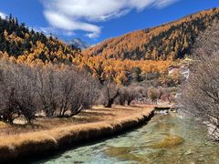 -稻城亚丁景区-冲古草甸