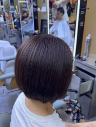 -藤野造型