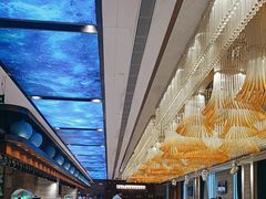 -皇马假日醉海南大酒店·假日一品派茶楼(秀英店)