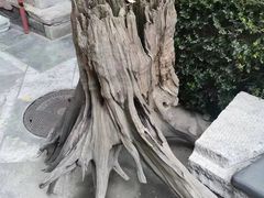 -嵩祝寺及智珠寺